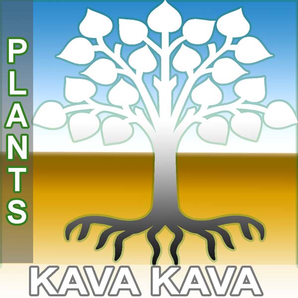 Kava Plants - Click Image to Close